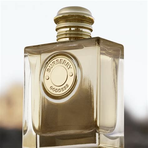 macy's burberry body perfume|best price burberry goddess.